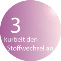 Wellsystem in den Balance Studios - Solarium und Sonnenstudio in Kassel & Hofgeismar - kurbelt den Stoffwechsel an